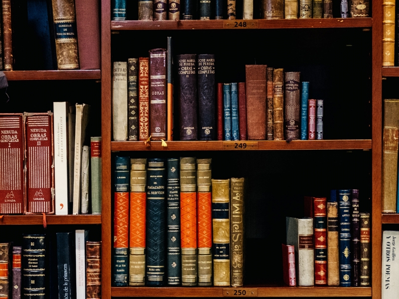 Library shelf