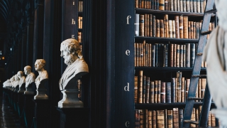 Book shelves in a library