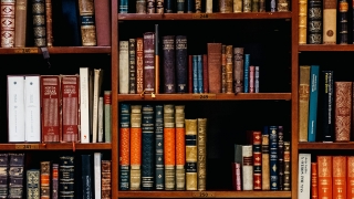 Library shelf